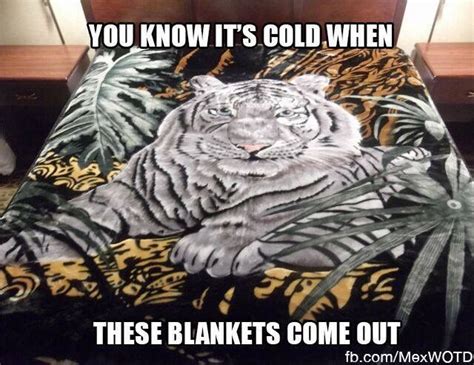 mexican blanket meme|mexican tiger blanket meme.